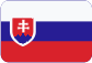 Vstavby do vozidiel Slovensky